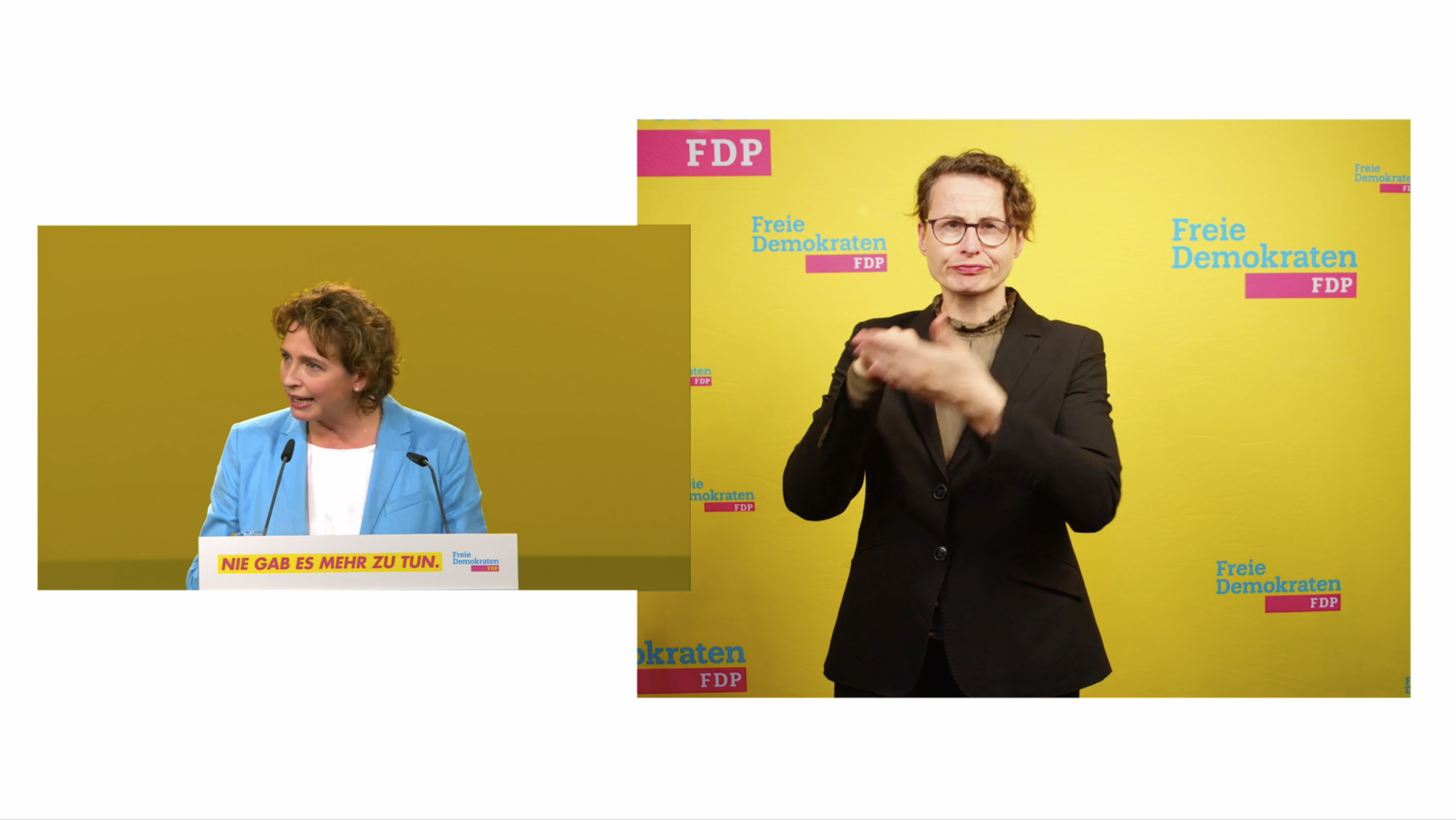 Screenshot des Livestreams der FDP mit synchroner Gebärdenübersetzung